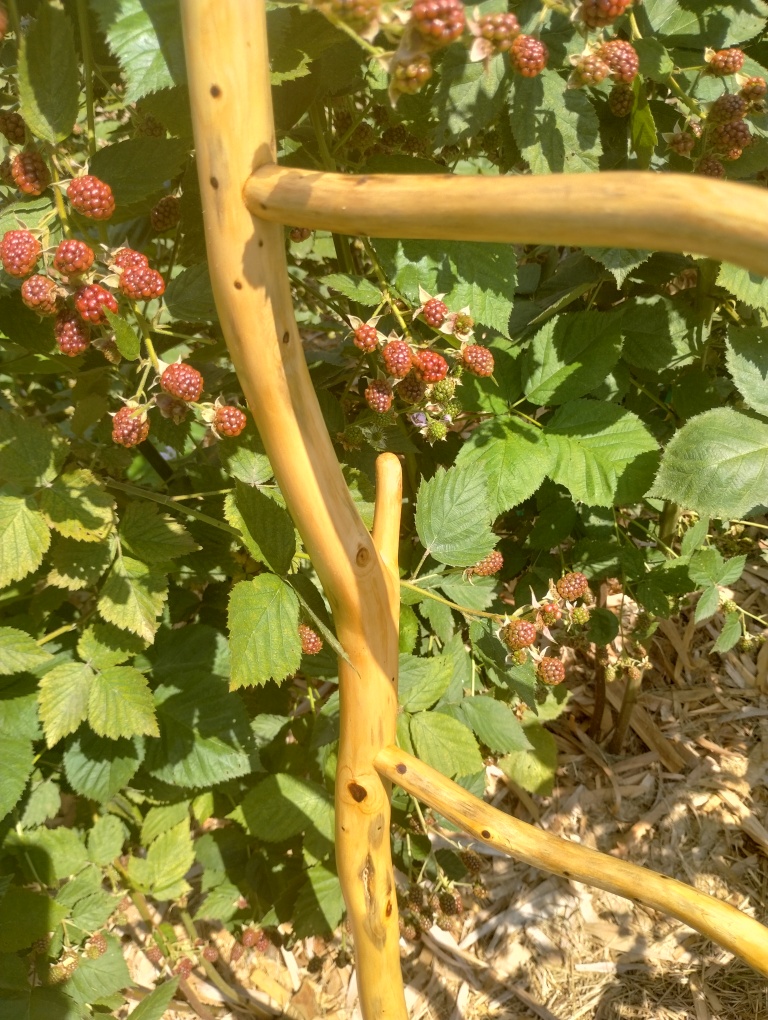 Handcrafted Riven Ladder