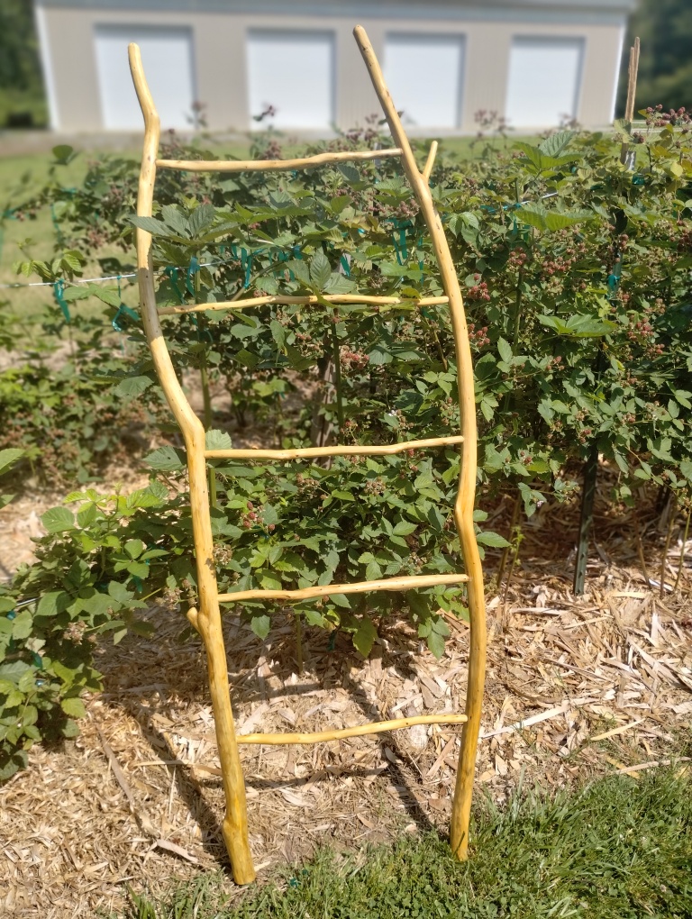 Handcrafted Riven Ladder