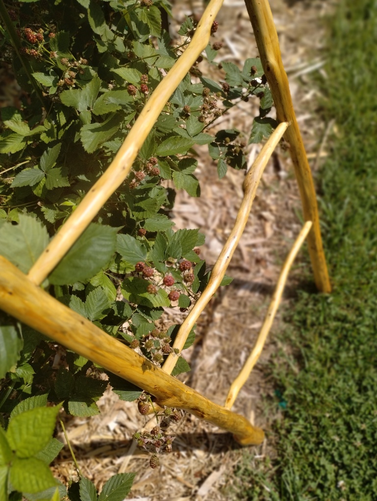 Handcrafted Riven Ladder