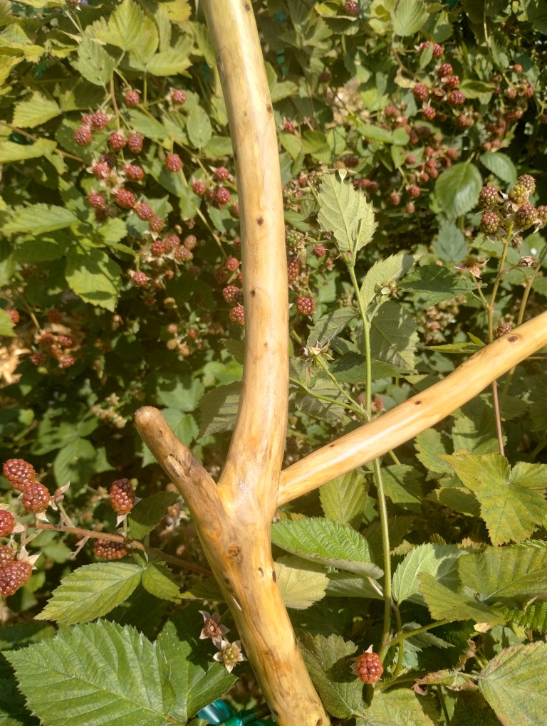 Handcrafted Riven Ladder