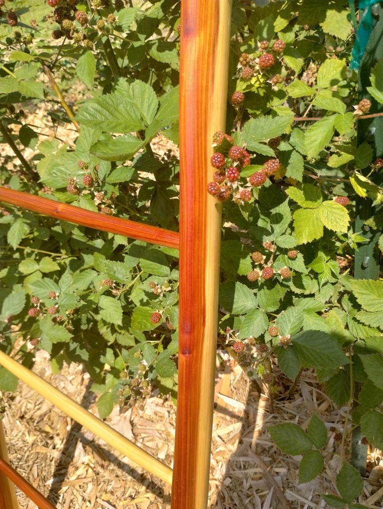 Handcrafted Riven Ladder