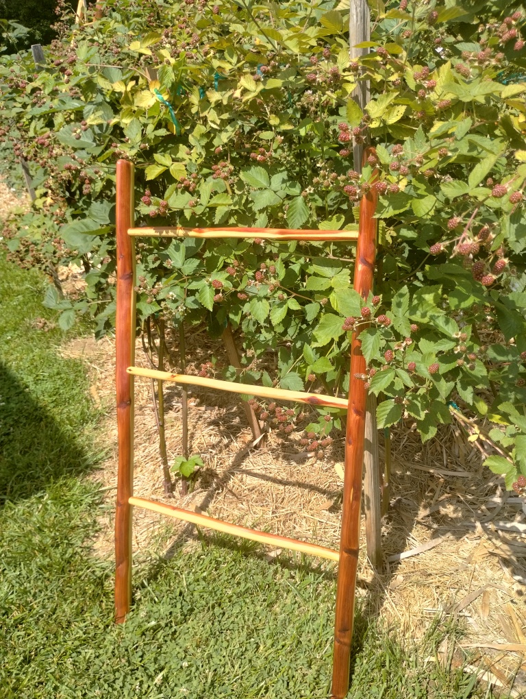 Handcrafted Riven Ladder