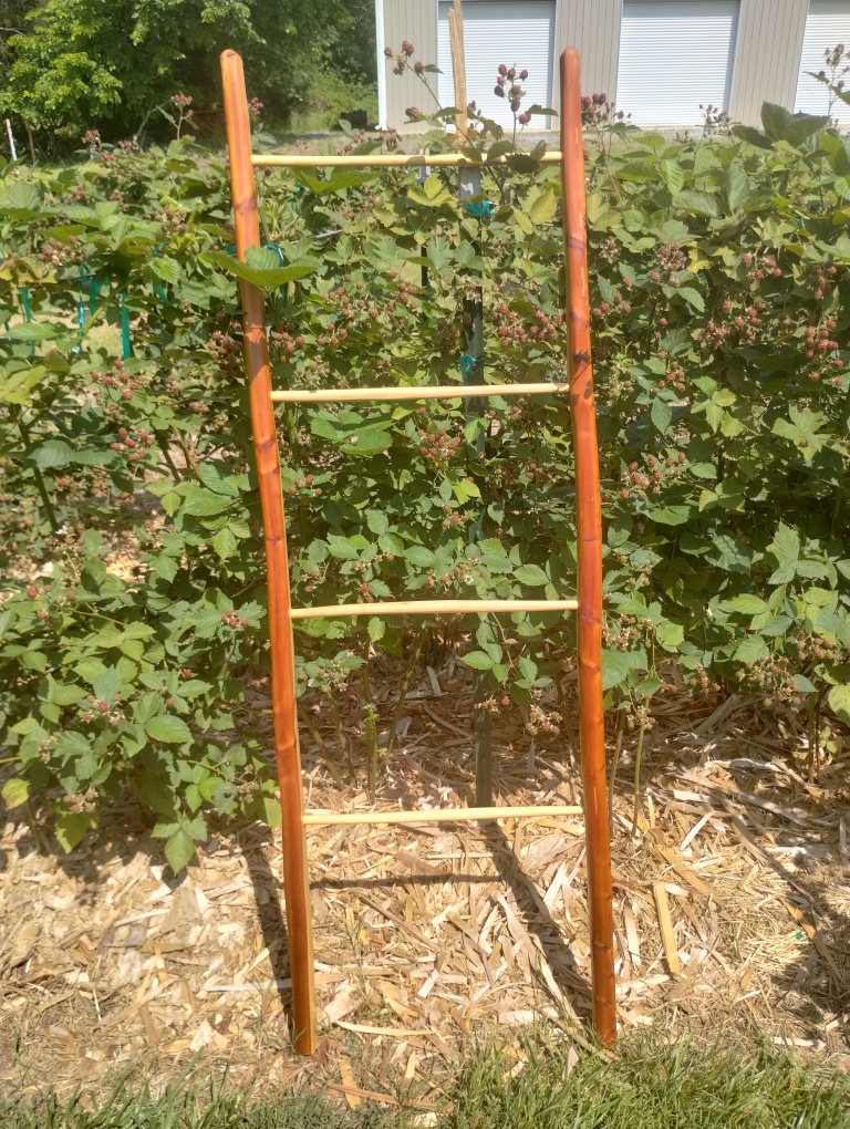 Handcrafted Riven Ladder