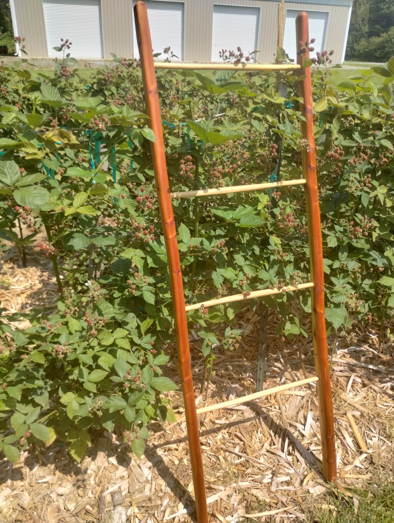 Handcrafted Riven Ladder